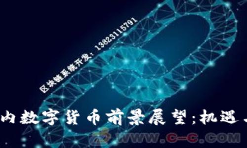 2023年国内数字货币前景展望：机遇与挑战并存