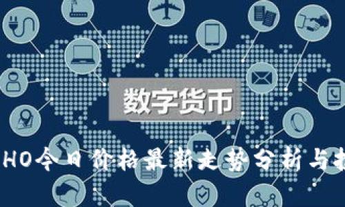 2023年HO今日价格最新走势分析与投资策略