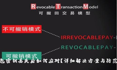 TP钱包密钥丢失后如何应对？详细解决方案与防范措施