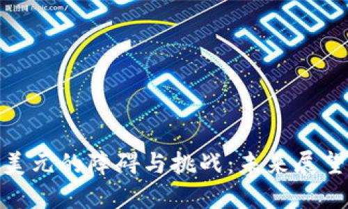 数字货币兑美元的障碍与挑战：未来展望与应对策略