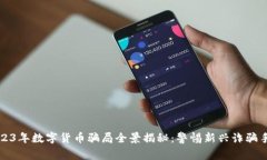 2023年数字货币骗局全景揭秘：警惕新兴诈骗手法