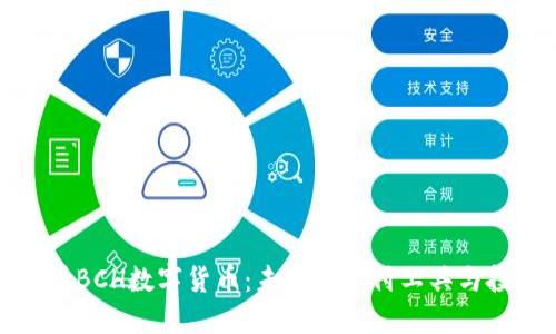深入探讨BCH数字货币：未来的支付工具与投资机会
