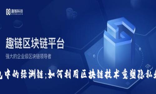 探秘TP钱包中的绿洲链：如何利用区块链技术重塑隐私和数据安全