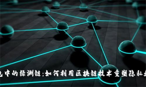 探秘TP钱包中的绿洲链：如何利用区块链技术重塑隐私和数据安全