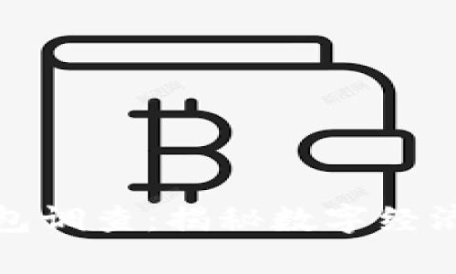 深圳数字货币红包调查：揭秘数字经济带来的新春惊喜
