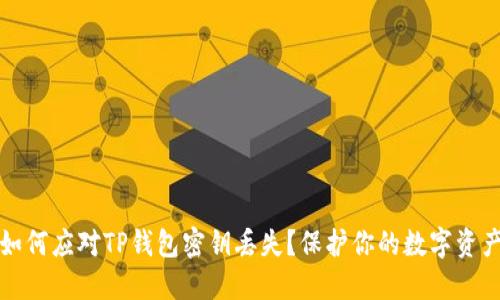 如何应对TP钱包密钥丢失？保护你的数字资产