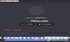 爱沙尼亚最新数字货币申请：未来数字经济的新
