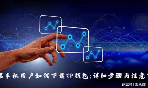 苹果手机用户如何下载TP钱包：详细步骤与注意事项