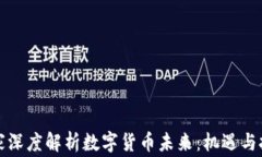 韩国专家深度解析数字货币未来：机遇与挑战并