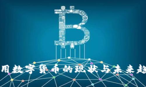老外使用数字货币的现状与未来趋势探讨