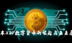 日本XRP数字货币的崛起与未来展望
