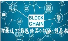 如何通过TP钱包购买OSK币：详尽指南
