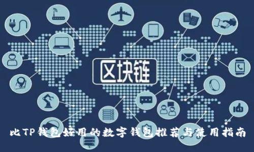 比TP钱包好用的数字钱包推荐与使用指南