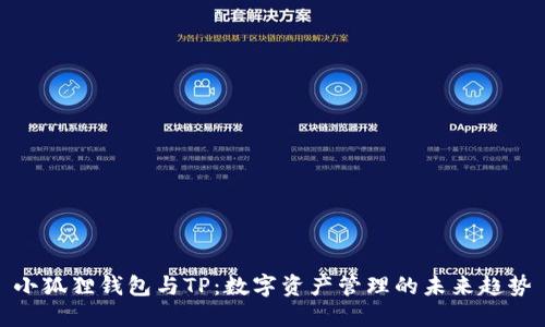 小狐狸钱包与TP：数字资产管理的未来趋势