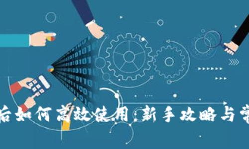 tP钱包创建后如何高效使用：新手攻略与常见问题解答