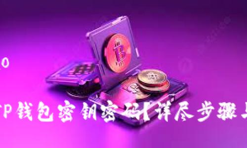 bilao/bilao

如何找回TP钱包密钥密码？详尽步骤与技巧解析