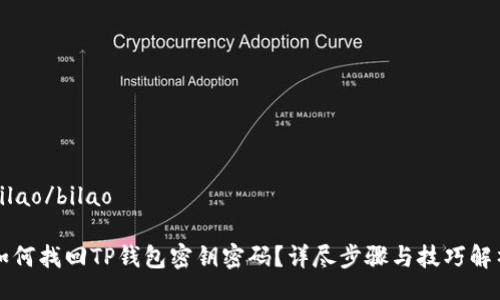 bilao/bilao

如何找回TP钱包密钥密码？详尽步骤与技巧解析
