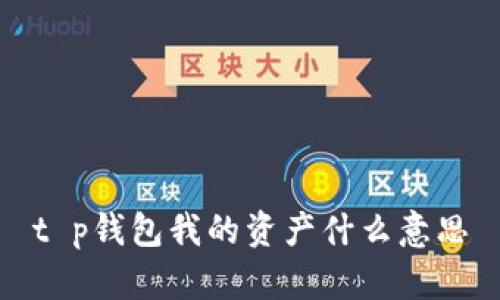 t p钱包我的资产什么意思