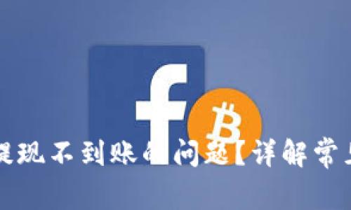 如何解决TP钱包提现不到账的问题？详解常见原因与解决方案