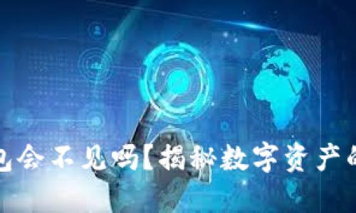 以太坊钱包会不见吗？揭秘数字资产的安全之道