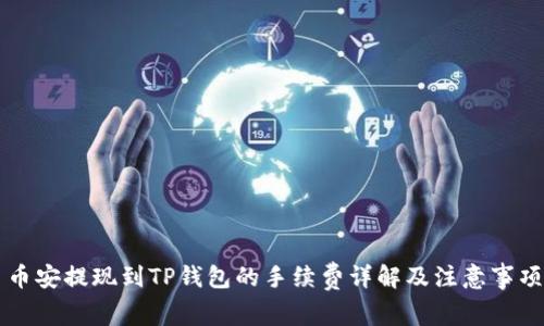 币安提现到TP钱包的手续费详解及注意事项
