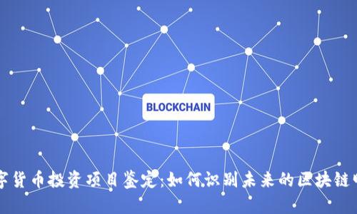 数字货币投资项目鉴定：如何识别未来的区块链明星