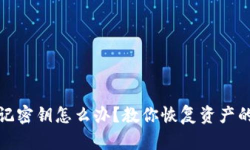 TP钱包忘记密钥怎么办？教你恢复资产的实用攻略
