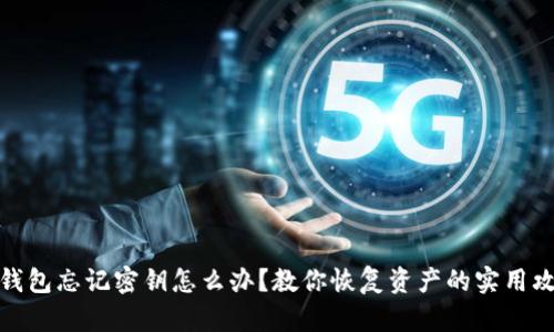 TP钱包忘记密钥怎么办？教你恢复资产的实用攻略
