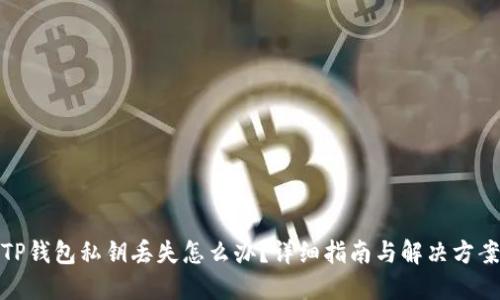 TP钱包私钥丢失怎么办？详细指南与解决方案