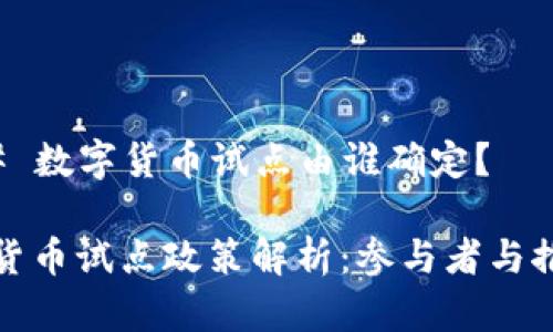 ### 数字货币试点由谁确定？

数字货币试点政策解析：参与者与推动者