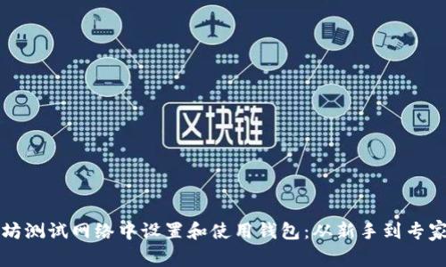 如何在以太坊测试网络中设置和使用钱包：从新手到专家的逐步指南