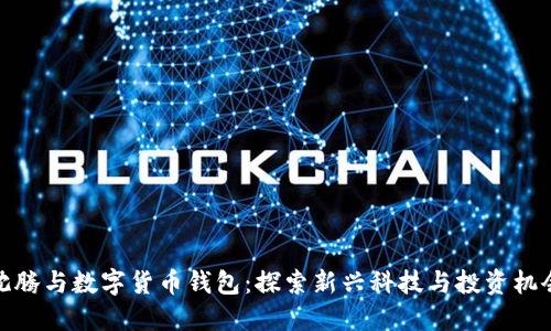 沈腾与数字货币钱包：探索新兴科技与投资机会