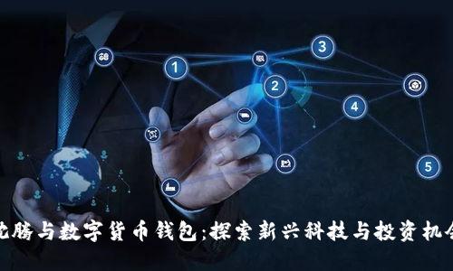 沈腾与数字货币钱包：探索新兴科技与投资机会