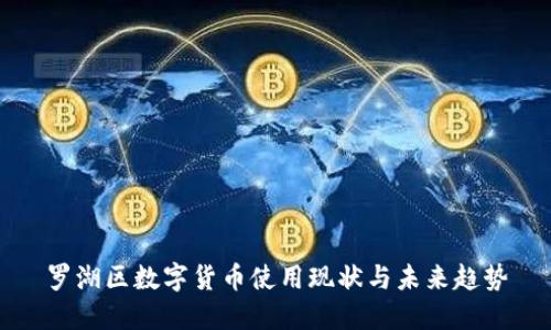 罗湖区数字货币使用现状与未来趋势