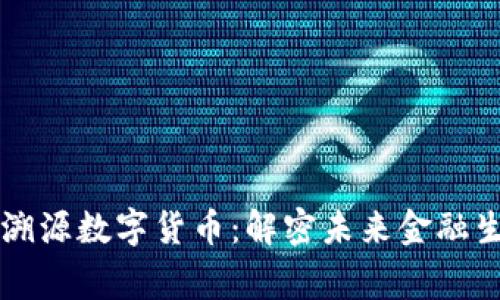 国家发行溯源数字货币：解密未来金融生态新格局