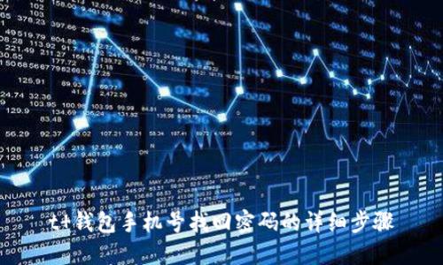 t 钱包手机号找回密码的详细步骤