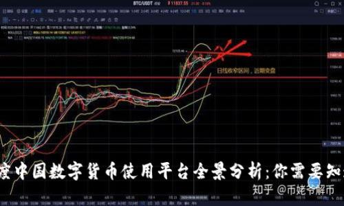2023年度中国数字货币使用平台全景分析：你需要知道的一切
