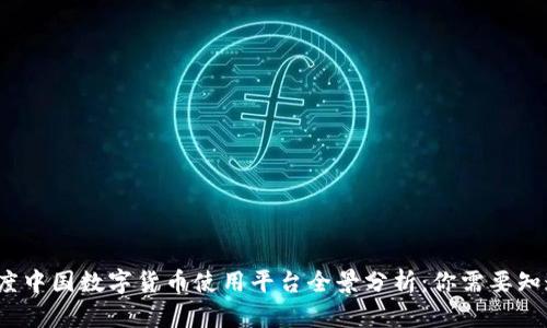 2023年度中国数字货币使用平台全景分析：你需要知道的一切