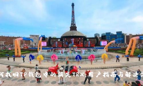 如何找回TP钱包中的消失TRX：用户指南与解决方案