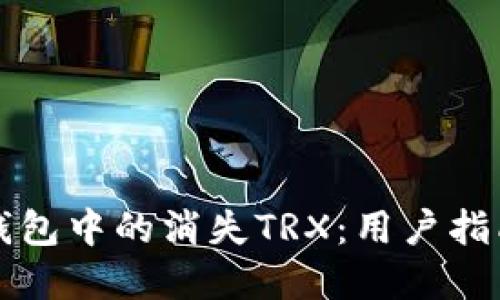 如何找回TP钱包中的消失TRX：用户指南与解决方案