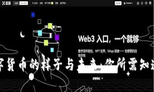 央行数字货币的样子与未来：你所需知道的一切