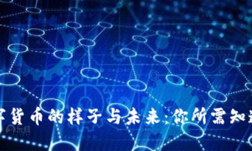央行数字货币的样子与未来：你所需知道的一切