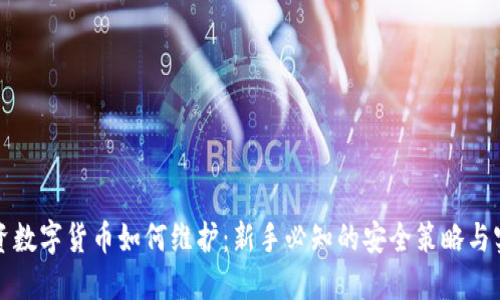 投资数字货币如何维护：新手必知的安全策略与实践