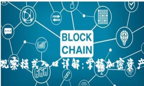 TP钱包观察模式入口详解：掌握加密资产新风向