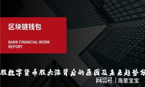 美股数字货币股大涨背后的原因及未来趋势分析