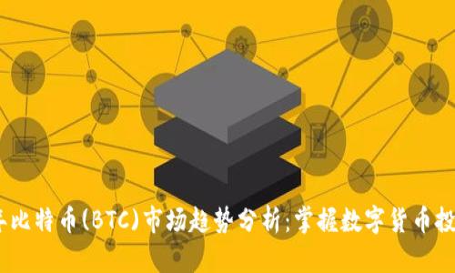 2023年比特币(BTC)市场趋势分析：掌握数字货币投资机遇