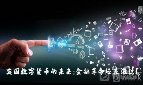 英国数字货币的未来：金融革命还是泡沫？