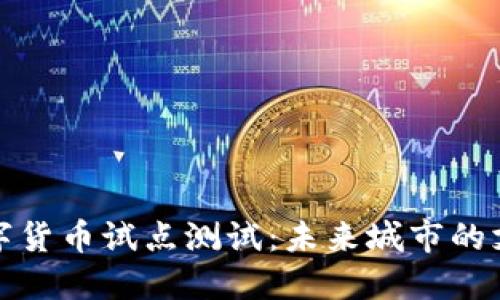 成都数字货币试点测试：未来城市的支付革命