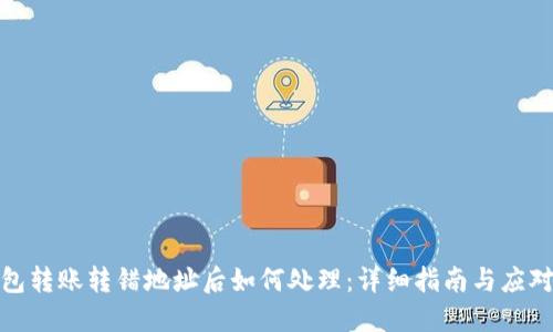 TP钱包转账转错地址后如何处理：详细指南与应对措施