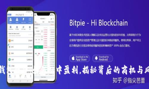 TP钱包租赁：如何从中盈利，揭秘背后的商机与风险